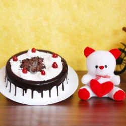 PRF CAKE 12